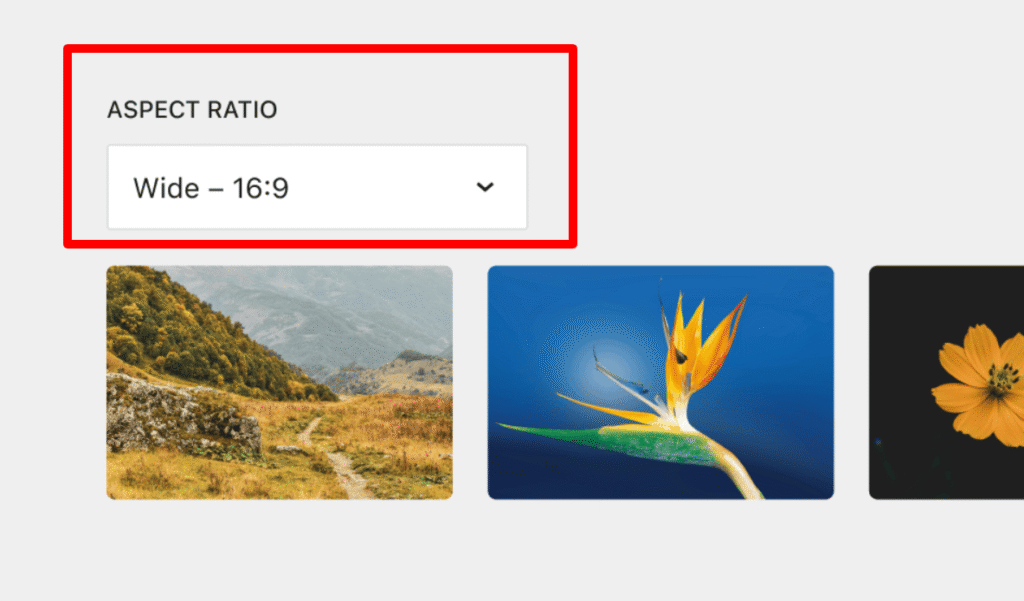 Aspect Ratio in Gallery Block